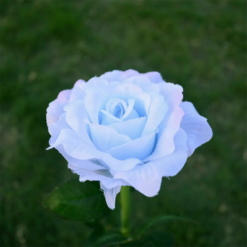 Blue Напольная Солнечная розовая Светодиодная лампа в форме цветка сада двора газона пейзаж лампа Декор - Emitting Color: Blue