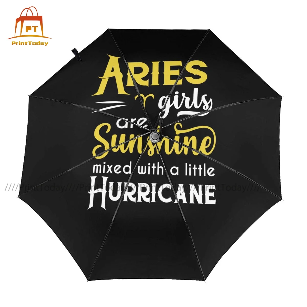 

Aries Umbrella Windshield Auto Umbrella Stylish Art Folding Car Umbrella
