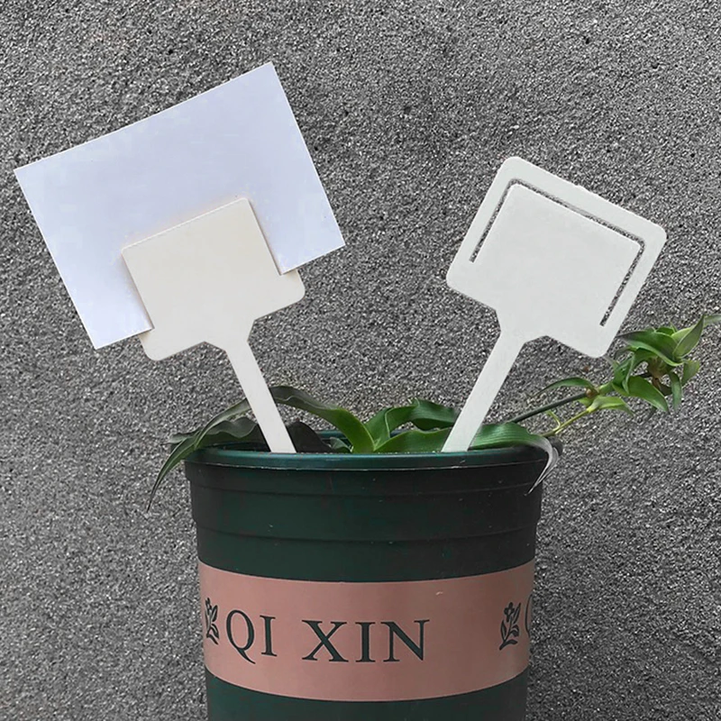 

Вставка Тип наклейки для садоводства карты Садово-огородный китайская живопись цветы ярлыки для растений Пластик утолщенной Цвет установк...