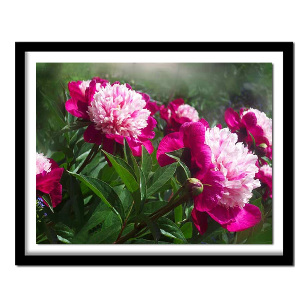 Цветок пиона вышивка бисером Вышивание Diy алмазная живопись Набор для вышивания