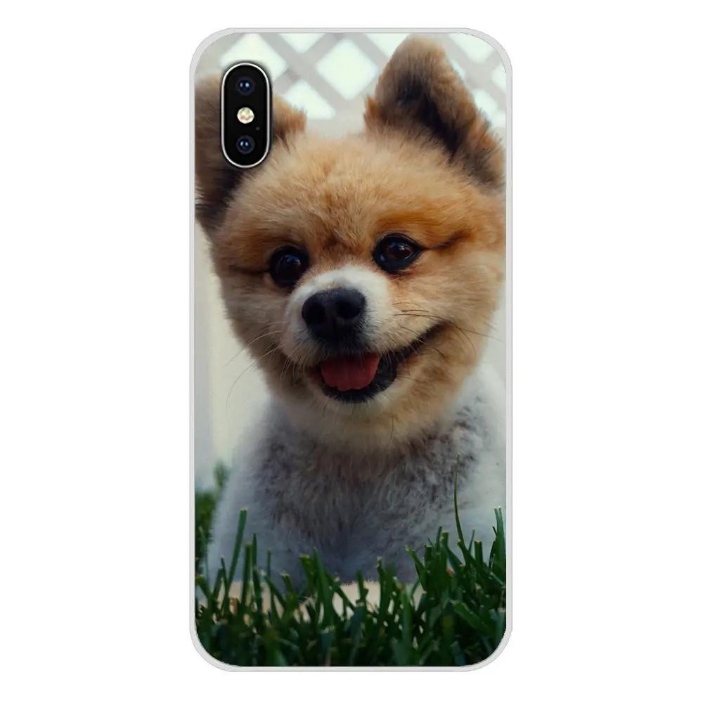 images 10 Pomeranian dogs для Apple IPhone X XR XS MAX 4 4s 5 5S 5C SE 6 6S 7 8 Plus ipod touch 5 6 Аксессуары чехлы для телефонов - Цвет: images 10
