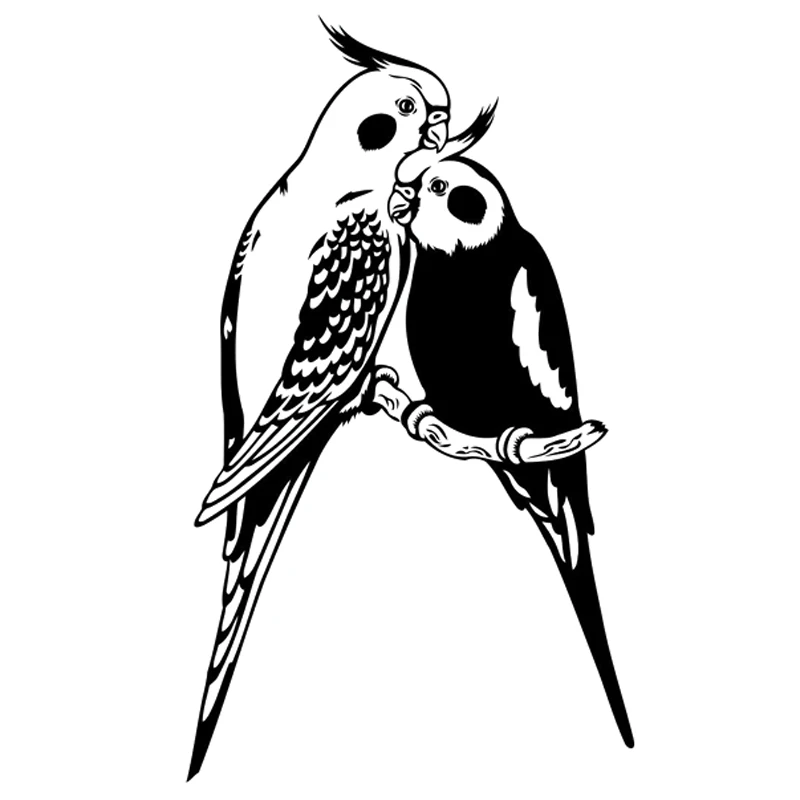 

Two Parrot Bird Lovers Interesting Decals Car Window Decoration Personality Pvc Waterproof Decals Black/white, 20cm*12cm