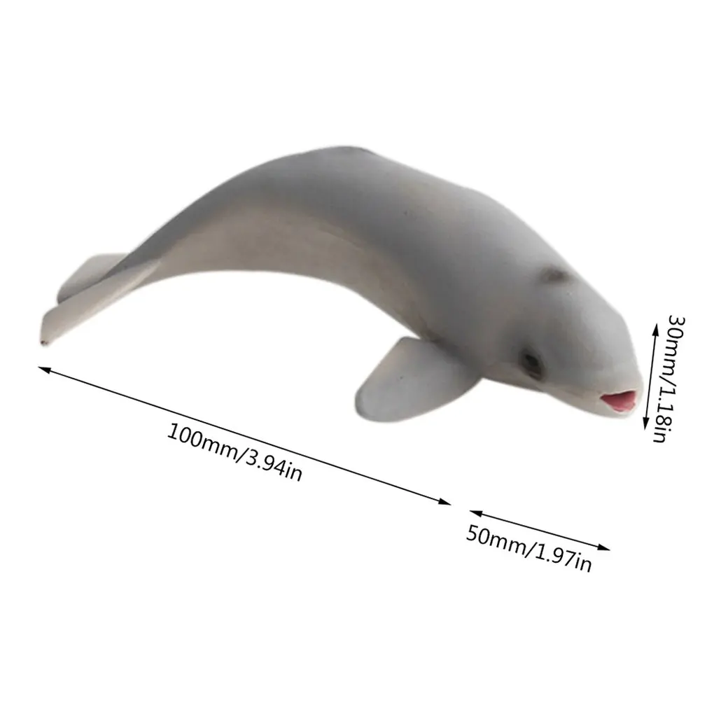 

Children's Simulation Marine Life Underwater World Model Hollow White Shark Giant Tooth Shark Toy Ornaments Kids Birthday Gift