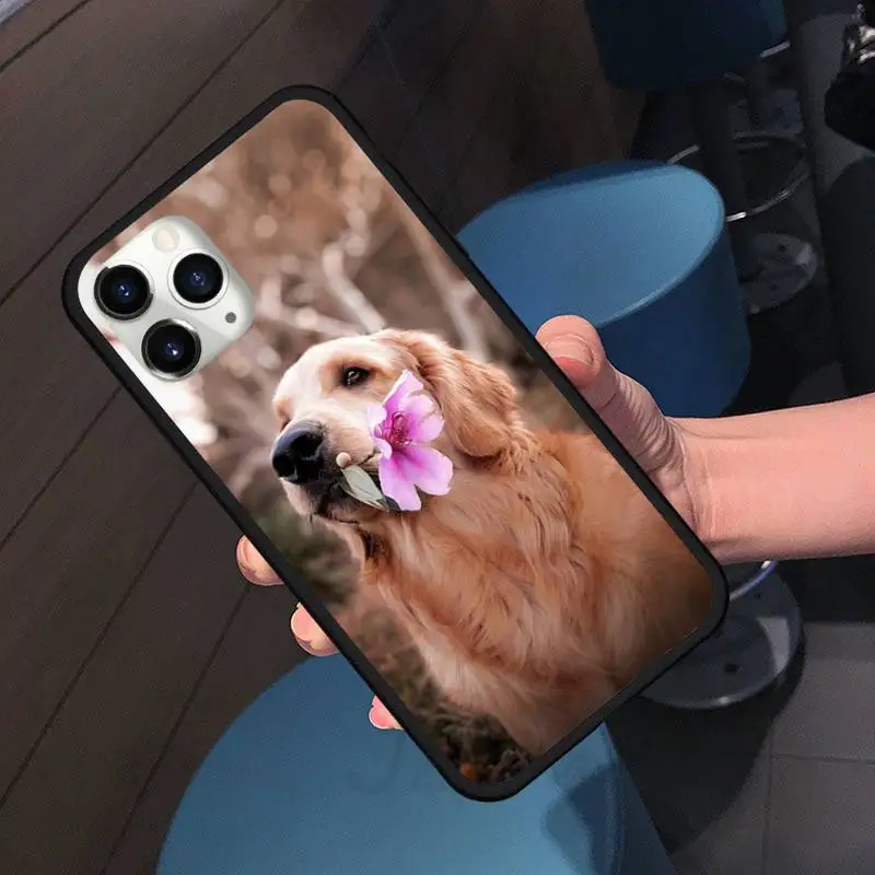 

Cute dog pet golden Phone Case for iPhone 11 12 pro XS MAX 8 7 6 6S Plus X 5S SE 2020 XR Soft silicone