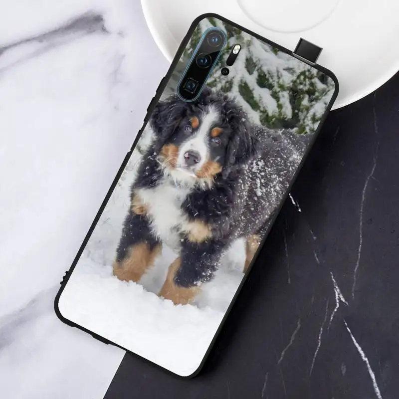 

Bernese Mountain Dog Phone Cases For Huawei honor Mate P 10 20 30 40 Pro 10i 9 10 20 8 x Lite