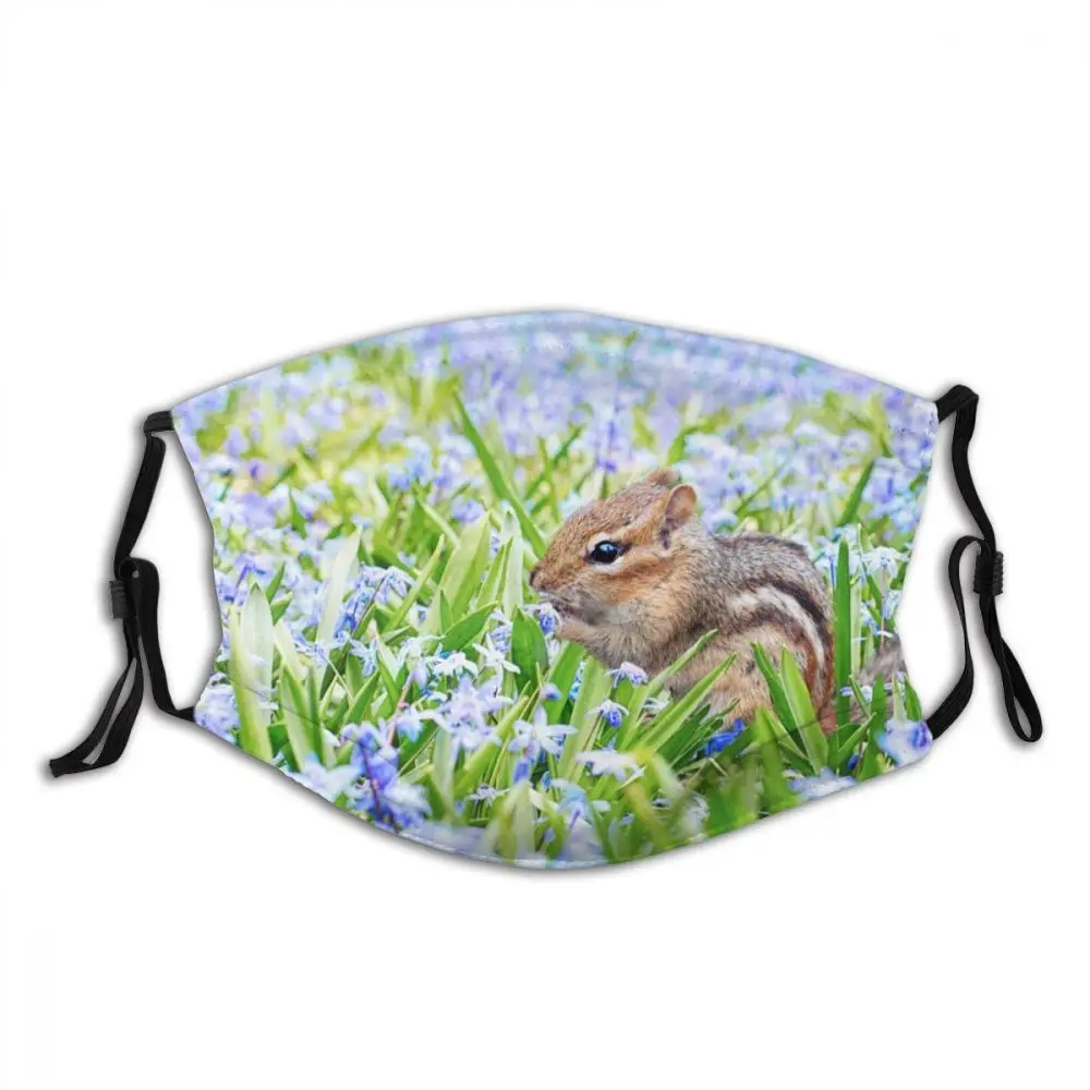 

Chipmunk Animal Reusable Printed Mouth Face Mask with Filters Anti Haze Dust Proof Earloop Protection Cover Muffle for Adult