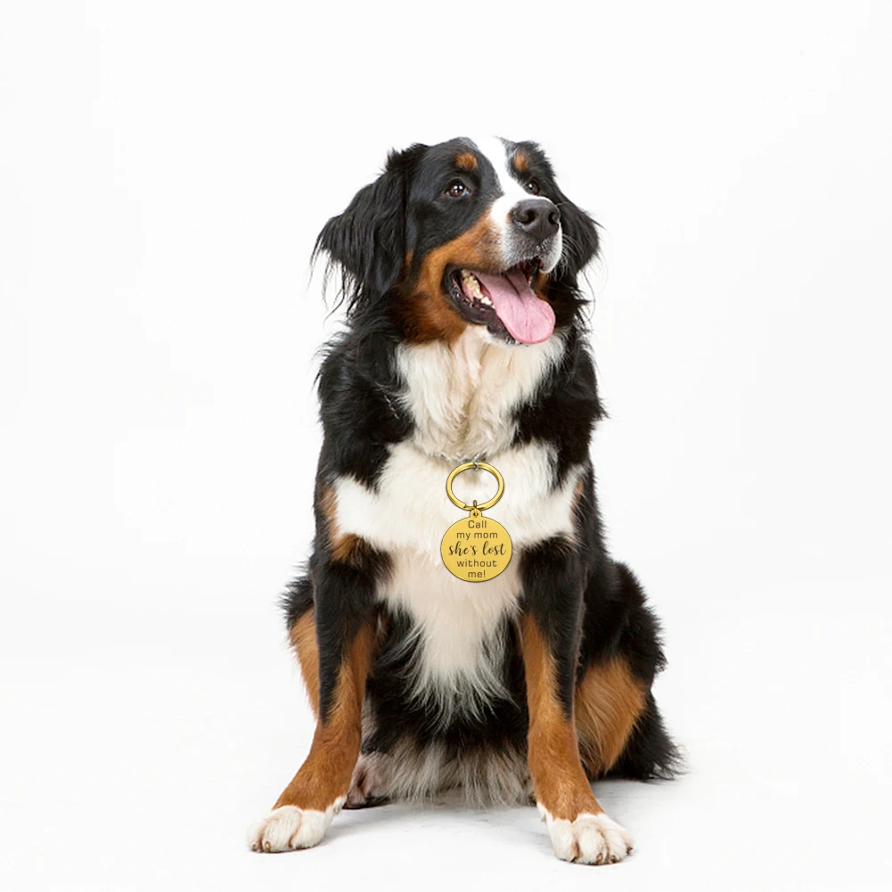 Именной идентификационный жетон с гравировкой для защиты от потери собаки