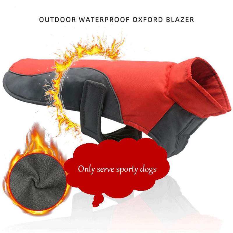 

Autumn and winter pet clothes dogs outdoor warm large and medium-sized dogs waterproof plush thickened pet vest