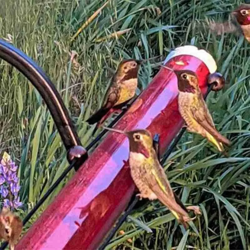 

40/50/60cm Hummingbird Feeder With Hole Birds Feeding Pipes Easy To Use Red Hanging Long Tube Anna's Best Gardening Tools