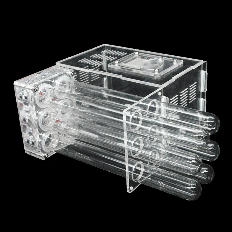 Ordinary tube DIY акриловая муравьиная ферма с площадью кормления 6 штукатурных трубок муравьи дом Муравьиное гнездо насекомое мастерская муравейник для домашних животных - Цвет: Ordinary tube