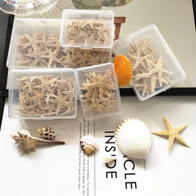 

0.5-1cm 1-5cm 1Box Party Natural Starfish Seashell Beach Craft DIY Beach Wedding Decoration Crafts Home Decor Natural Sea Stars