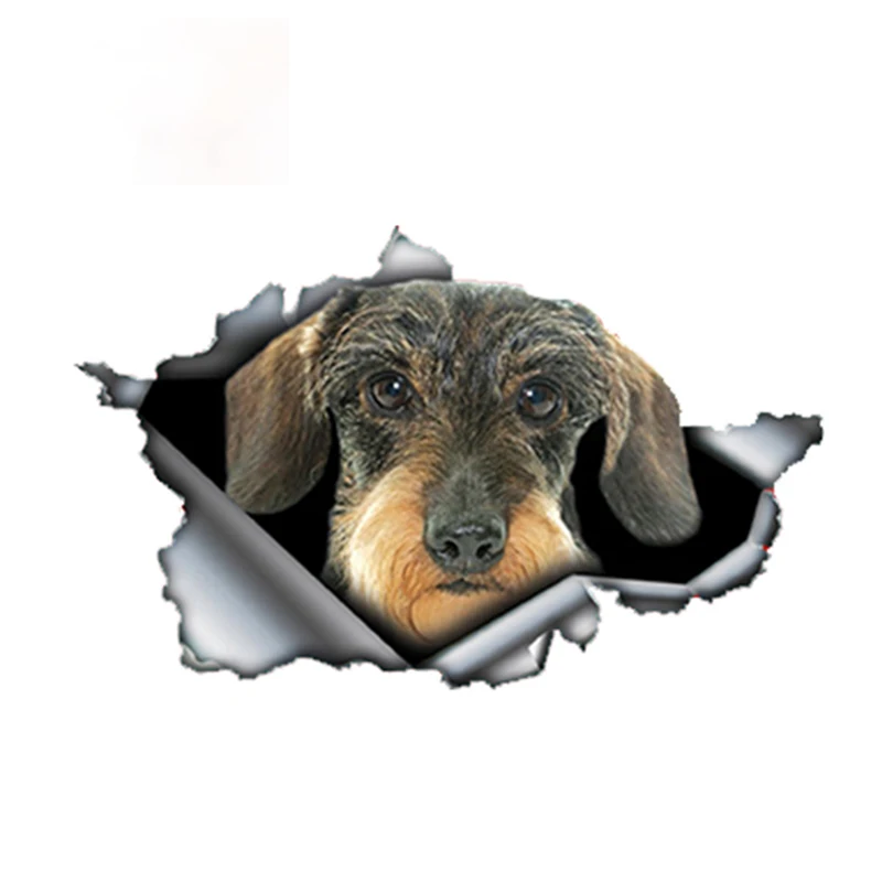 Personality Wire Haired Dachshund Car Sticker Torn Decal Reflective Waterproof Styling Accessories Apply To Door |