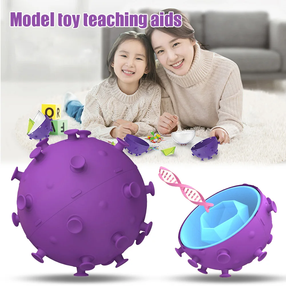 

Hot Selling Simulation Cell Model Educational Toy Teaching Aid for Kids Learning LBV