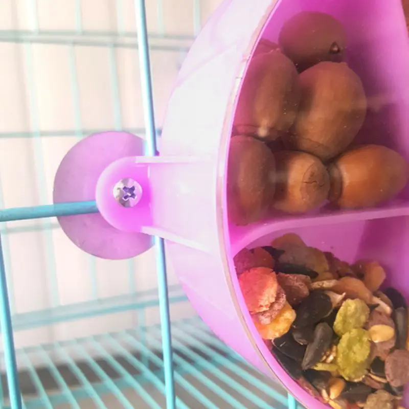 

New Arrival Bird Foraging Wheel Seed Food Ball Rotate Training Toy Bite Toy Bird Toy For Parrot s06 1