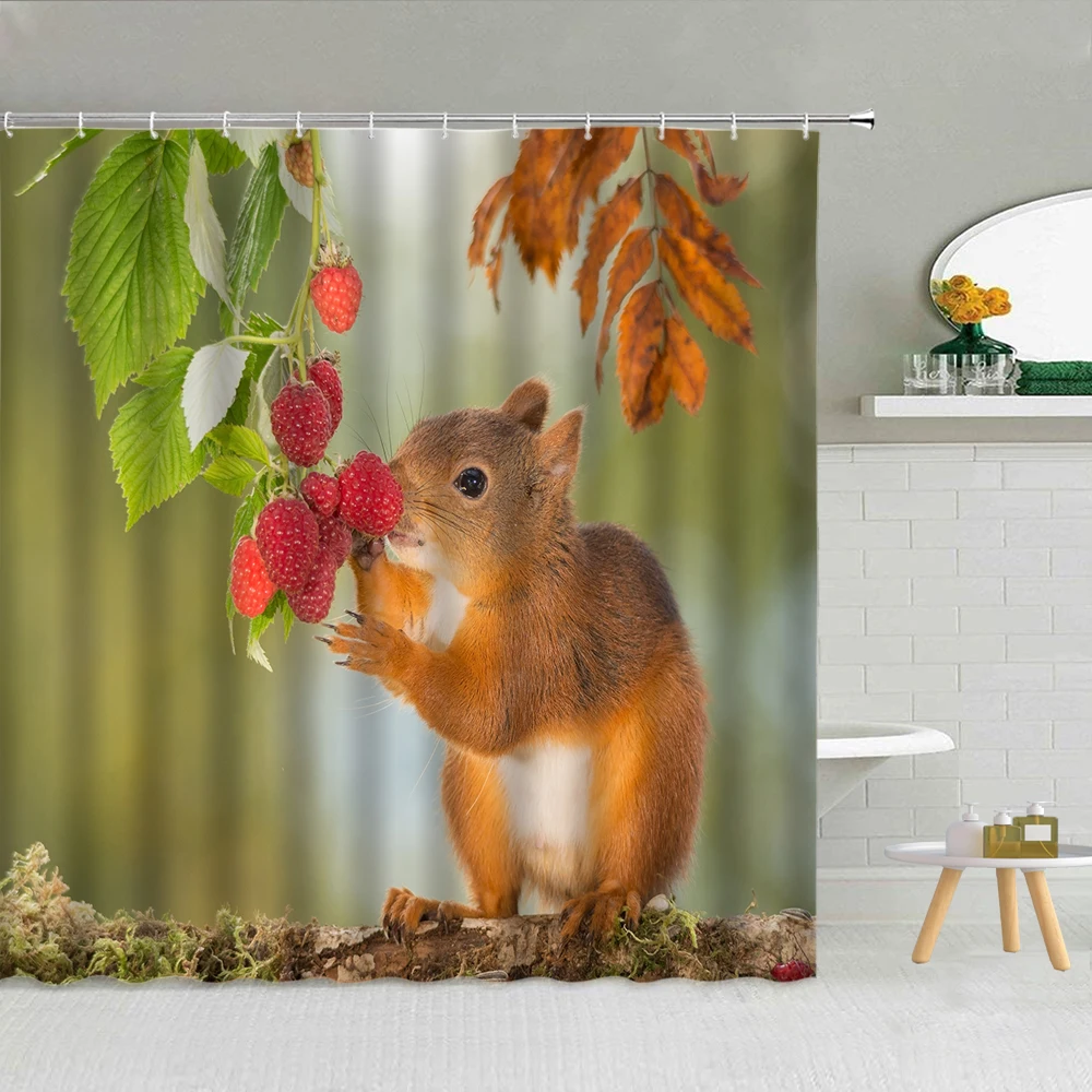 

Shower Curtain Cute Wild Animal Squirrel Waterproof Polyester Fabric Bathtub Decor High Quality With Hook 3D Printing Bath Scree