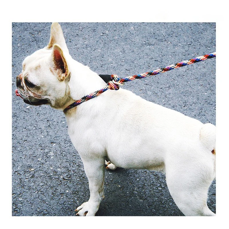 Новый тип Светоотражающий Поводок для собак кошек поводков собак|Поводки| |