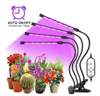 Фитолампа светодиодная полного спектра, с USB-разъемом