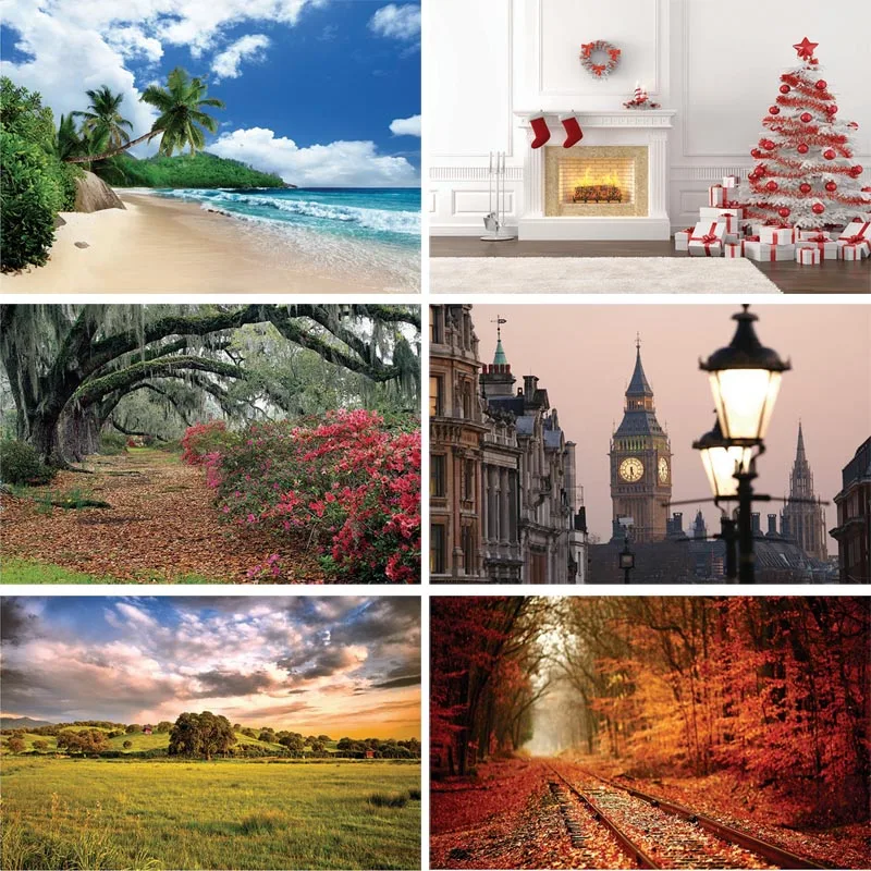 

SHENGYONGBAO Art Fabric Photography Backdrops Prop Christmas and scenery Photography Background 200621HU-003