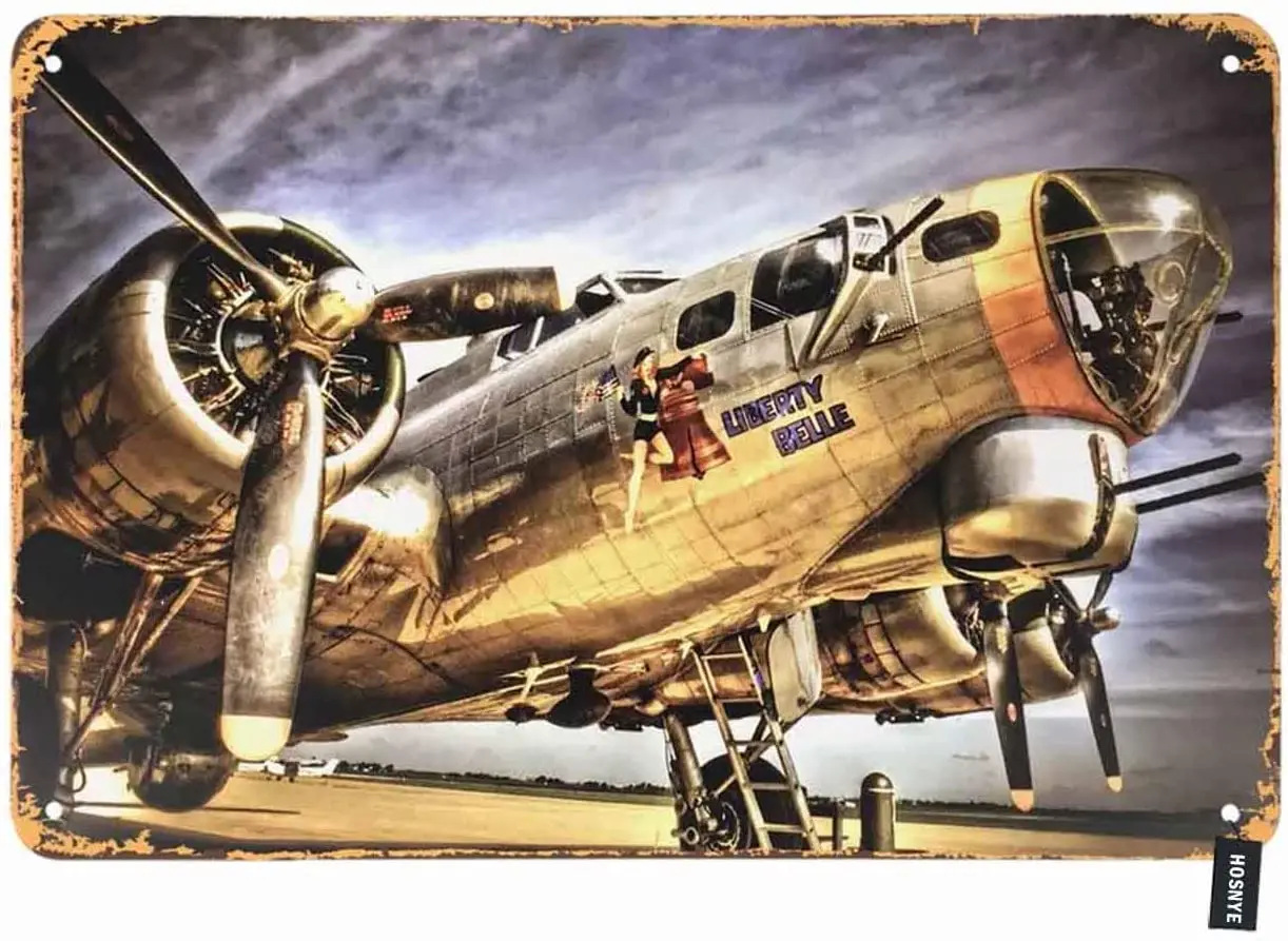 

HOSNYE Transport Aircraft Tin Sign Vintage Metal Tin Signs for Men Women Wall Art Decor for Home Bars Clubs Cafes 8x12 Inch