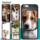 Чехол для iPhone 13 Pro Max 11 12 Mini SE 2020 XR X XS MAX 6S 7 8 Plus