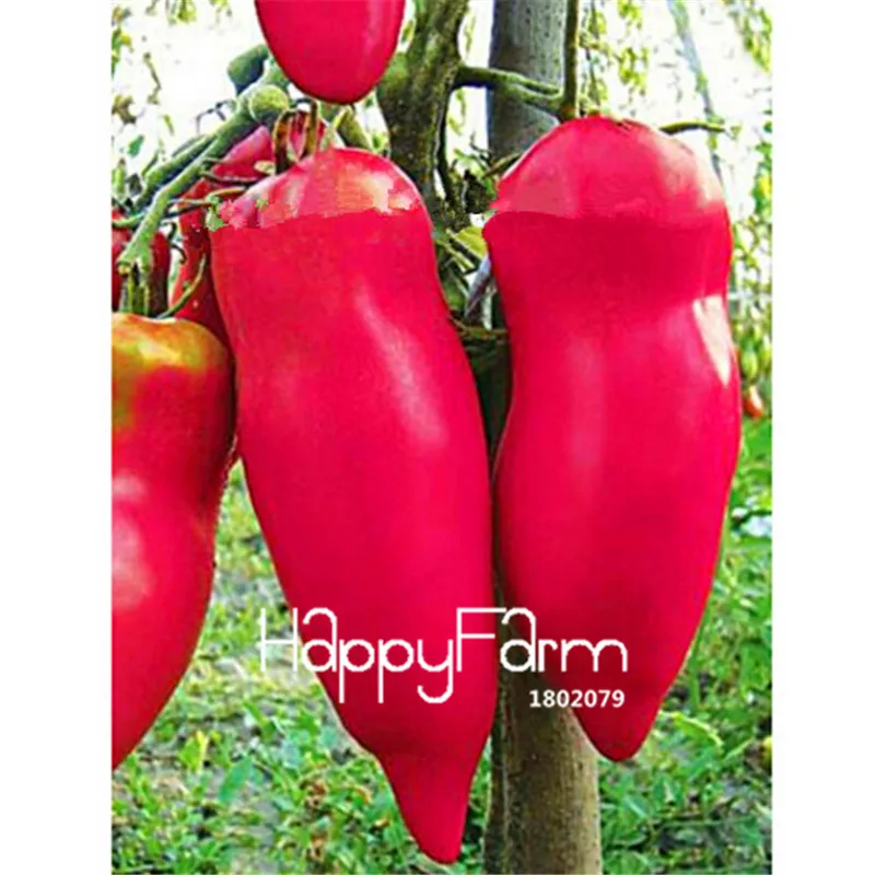 New Fresh 20 Pcs/Lot Rainbow Tomato Plants, bonsai organic vegetable& fruit Plantas,potted plant for home&garden - Цвет: 24