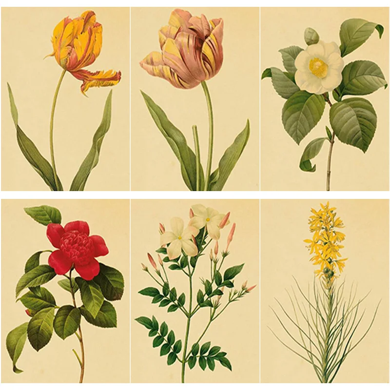 

New 5D DIY Diamond Painting Cross Stitch Full Square Round Drill Specimen Flower Diamond Embroidery Home Decor Manual Art Gift