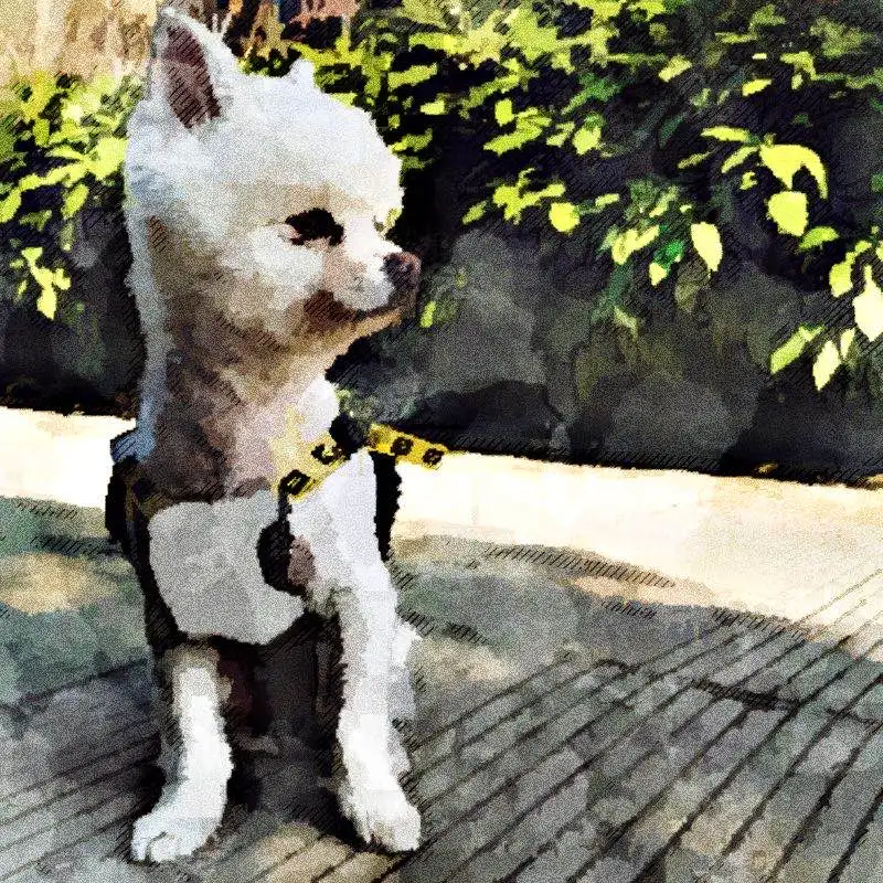 

Комбинезон Schnauzer для чихуахуа комбинезоны для пуделей мопса наряд костюм для мопса PC1173