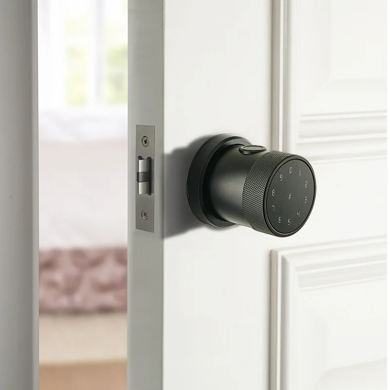 TTlock wifi приложение Bluetooth дверные замки отпечатков пальцев IC карты цифровой