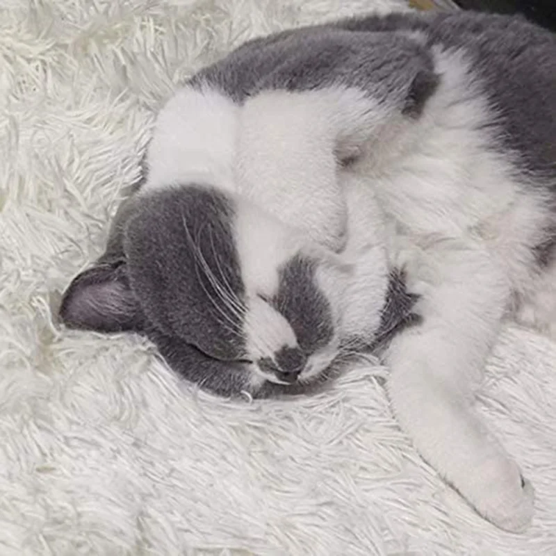 

Pets Sleeping Mat Dual-Use Plush Fluffy Warm Mattress Cushion Pad for Dogs Cat Machine Washable FOU99
