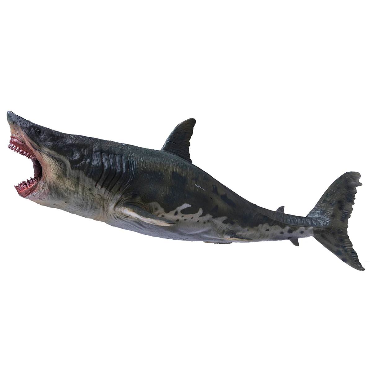 PNSO доисторические модели животных: Patton The Megalodon (большая белая акула) 13 &quotдревний