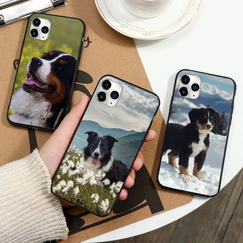 Высококачественный чехол для телефона Bernese Mountain Dog Для iPhone 11 12 pro XS MAX 8 7 6 6S Plus X 5S SE