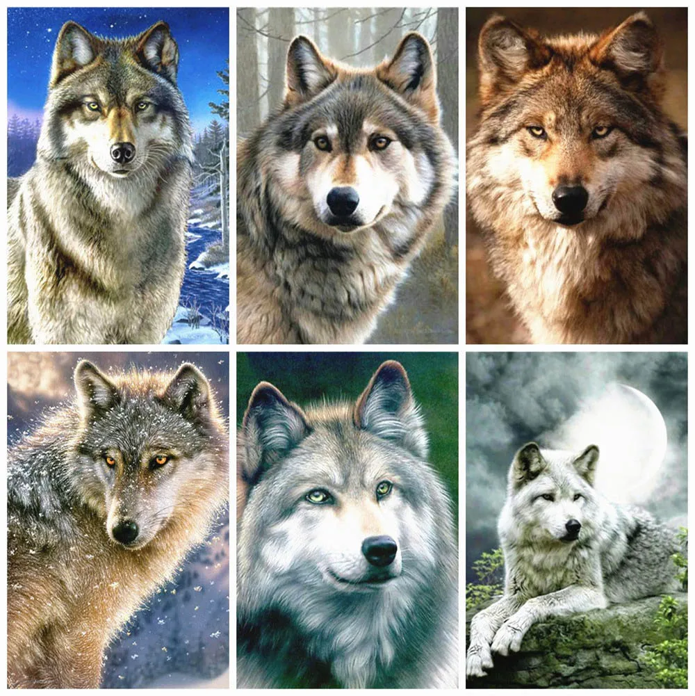 5D алмазная живопись волком полная квадратная дрель Вышивка Животных продажа