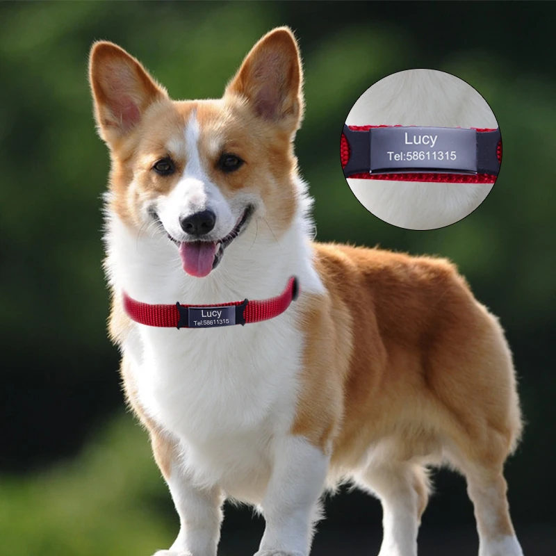 Идентификационные бирки для домашних животных из нержавеющей стали персонализированная табличка