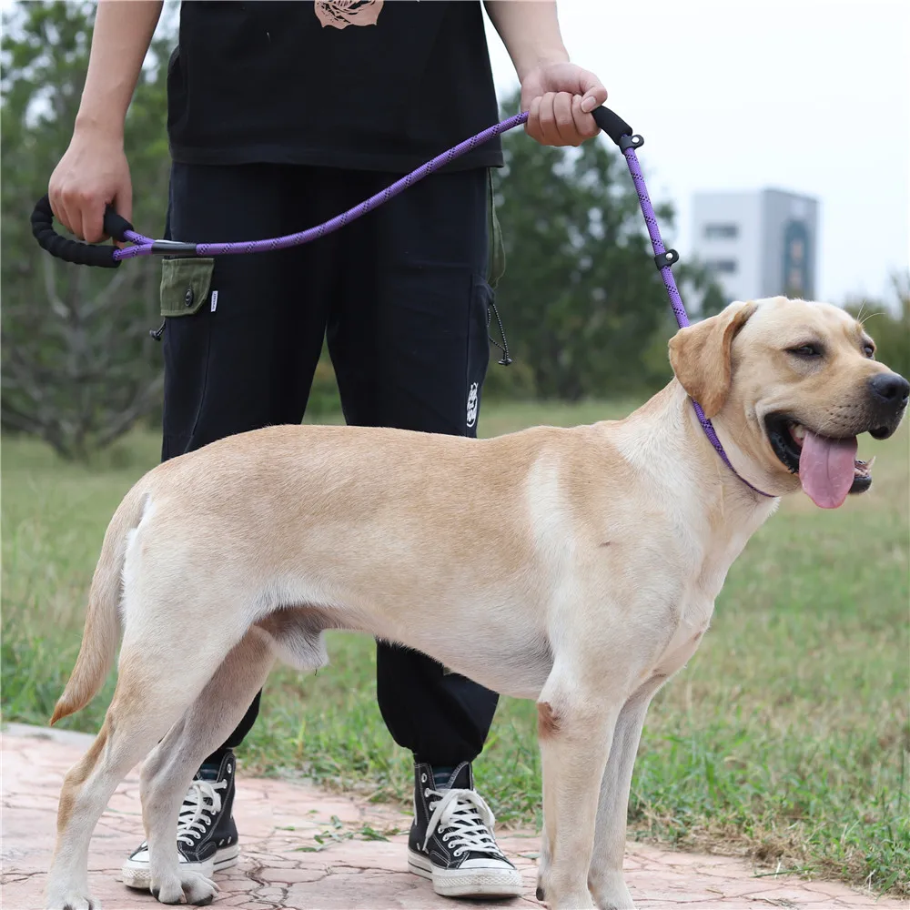 

Large Dog Reflective Rope Dog Lead Leash 5 Color Nylon Basic Leashes Medium Dog Walking Big Dog Collar For Labrador Rottweiler