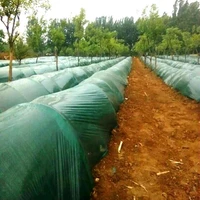 1m width1m 1 2m 2m green garden film vegetable planting mulch film agriculture greenhouse film plants protection cover sheeting