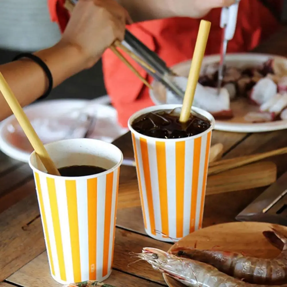 

10 Pcs Natural Bamboo Straw Eco-Friendly Drinking Straw Reusable With Clean Brush Biodegradable Safe Bamboo Bar Accessories