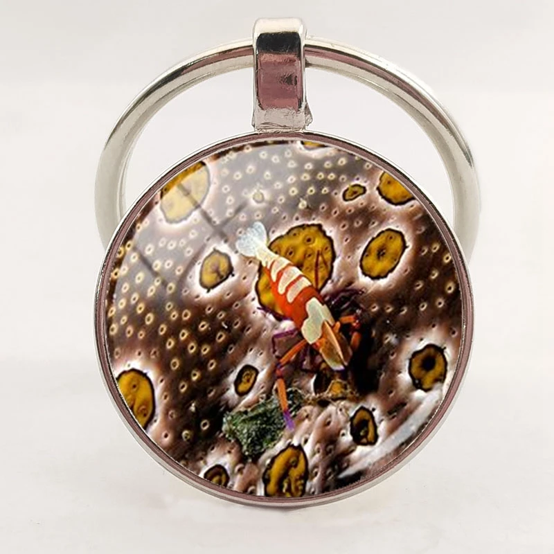 Marine life glass dome keychain marine animal art shark crab octopus turtle fish charm keyring DIY jewelry discovery | Украшения и