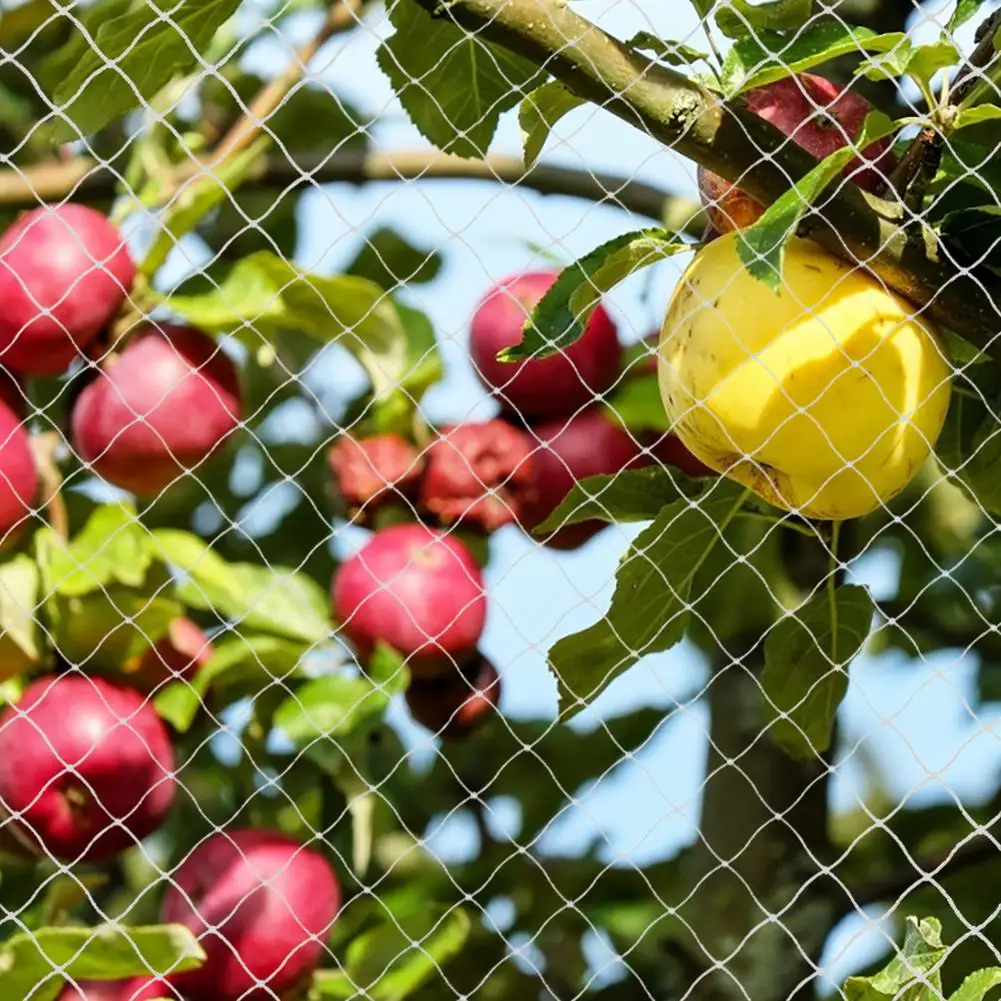 

Heavy Anti Bird Netting Net Garden Fence Fruit And Crops Protective Mesh Nylon Anti Bird Deer Cat Dog Chicken Net Fishing Net