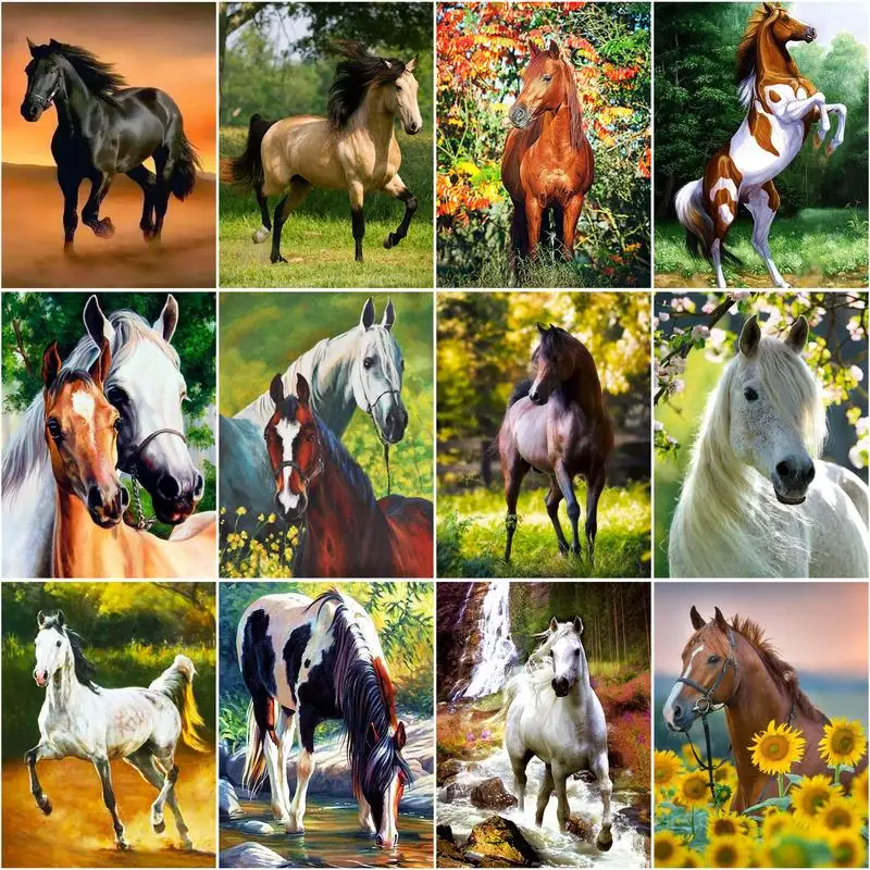 

RUOPOTY 60x75cm Frame Painting By Numbers For Adults Horse Picture By Numbers Animals Acrylic Paint On Canvas Home Decors Art