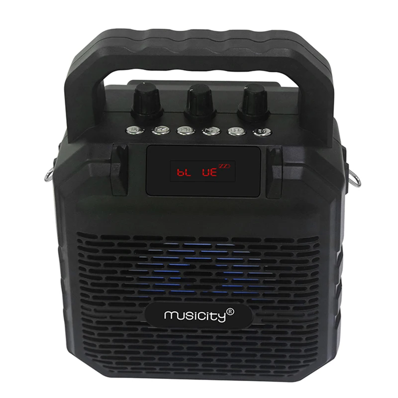 Musicity Ibastek Bluetooth Usb караоке Динамик коробка Колонка с беспроводным каналом блютус