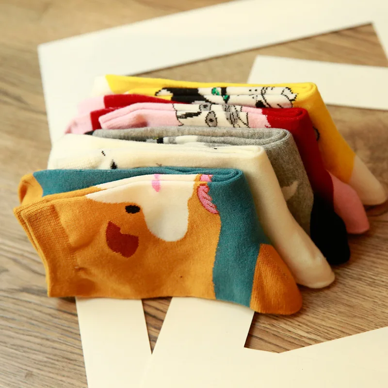 2020 горячая Распродажа осенне зимние хлопковые носки женские милые Носки с