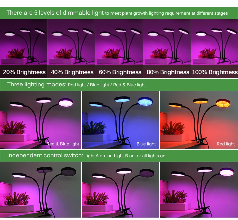 

5V USB Phyto Lamp Grow Light With Timer LED Full Spectrum Light Plant Growing Lamp For Seedlings Flower Phyto Lamps Grow Tent B