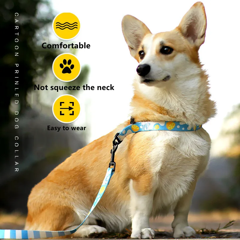 

Outside walk printing small and medium-sized dog collar leash corgibomei golden retriever dog rope chain lead rope suit dog