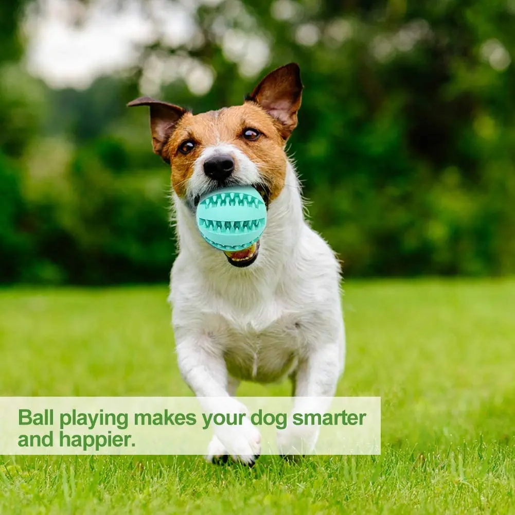 

Small/Medium Dog Toys for Aggressive Chewers Elastic Rubber Ball Dog Toy Interactive Squeaky Pet Cleaning Tooth Toy