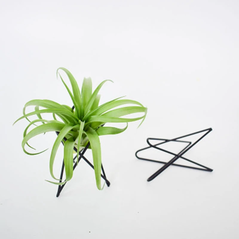 

5PCS Air Pineapple Bracket to Purify the Air Soilless Plant Geometric Base Blake