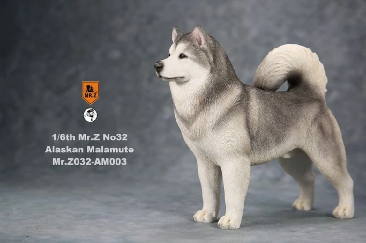

1/6 Mr.Z No.032 Alaskan Malamute Dog Animal Model Toy Collectible