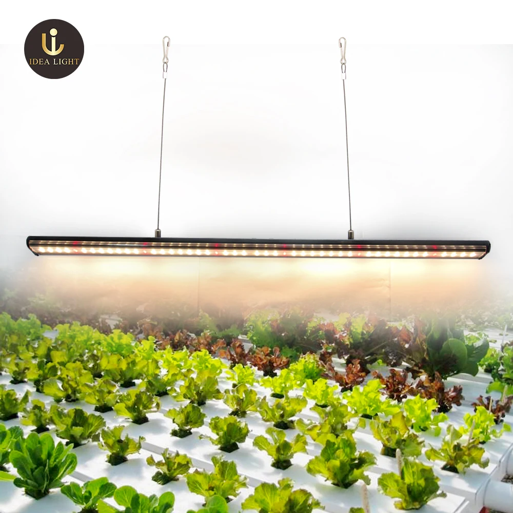 Idea light 2ft 45W/3ft 60W/4ft 80W cheap led grow light bar for indoor plants and farming