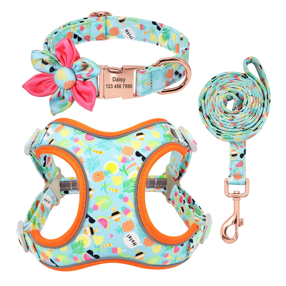 

Nylon Pet Dog Cat Harness Vest Dog Collar Leash Set Personalized Pet Dog Collar Harnesses Walking Leash Dogs French Bulldog