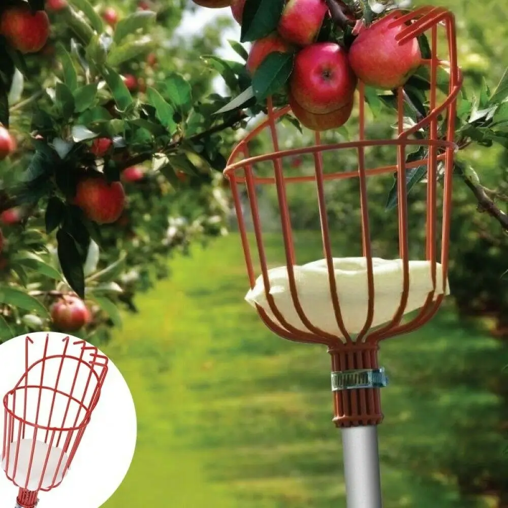 

Fruit Picker Tool with Big Basket Apple Orange Pear Harvester Basket for Getting Fruits (Pole not Included)