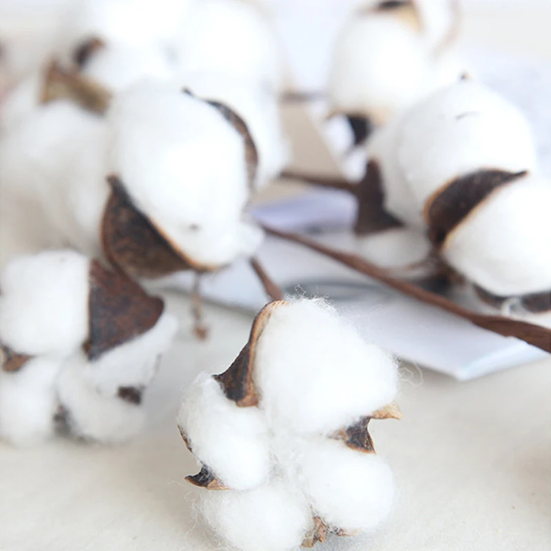 

10 Head Naturally Dried Cotton Flower Artificial Plants Floral Branch For Wedding Party Decoration Fake Flowers Home Decor